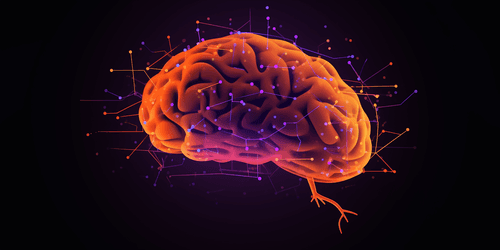 a well-lit brain with many neural connections in view